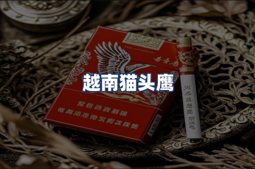 越南猫头鹰